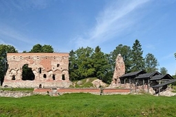 Viljandi Castle Ruins Logo